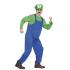 Disfraz  Fontanero Mario Bros Luigi adulto