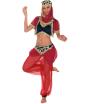 Disfraz adulta Bailarina Árabe Harem
