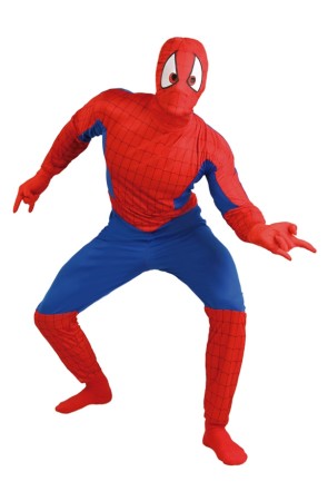 Disfraz adulto SuperHéroe Spider