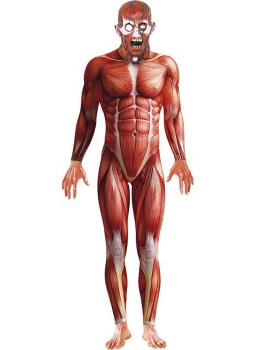 Disfraz Anatomía Humana Terror adulto