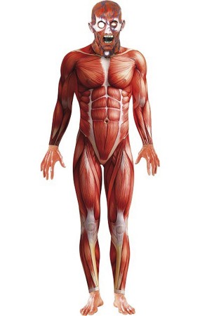 Disfraz Anatomía Humana Terror adulto