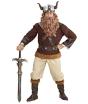 Disfraz Cruel Vikingo para Hombres