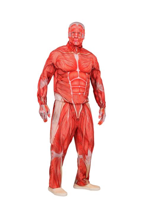 Disfraz de Anatomía FAST COSTUME para Adultos