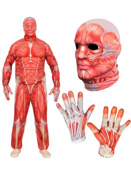 Disfraz de Anatomía FAST COSTUME para Adultos