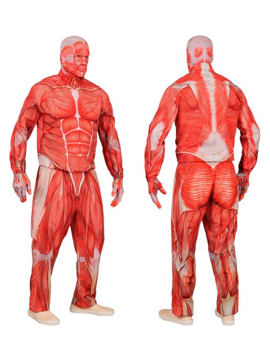 Disfraz de Anatomía FAST COSTUME para Adultos
