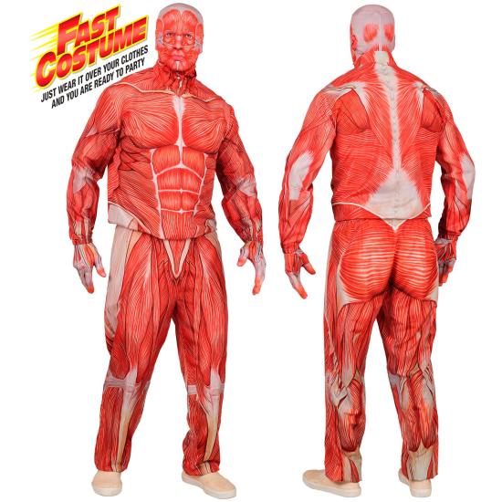 Disfraz de Anatomía FAST COSTUME para Adultos