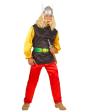 Disfraz de Asterix en talla  adulto