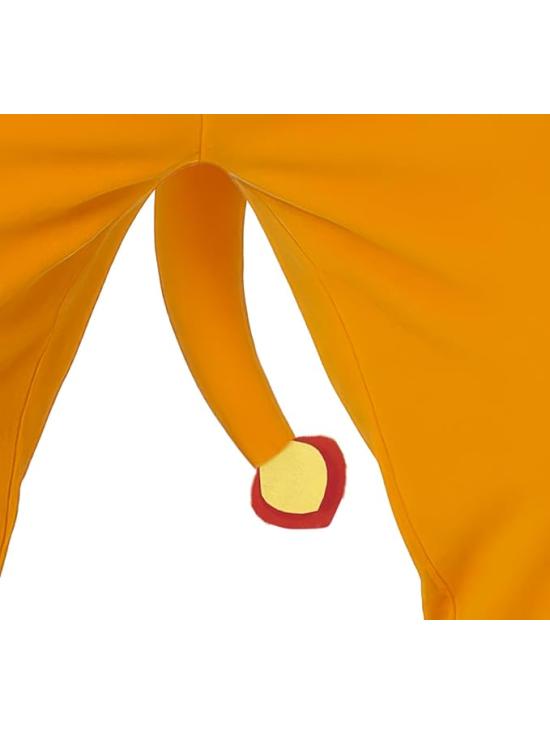 Disfraz de Charizard de Pokemon para adulto
