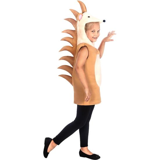 Disfraz de erizo para niños