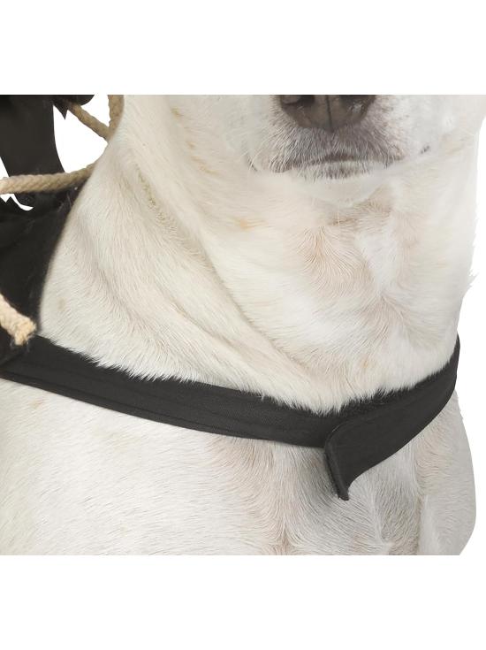 Disfraz de jinete GhostFace para mascota