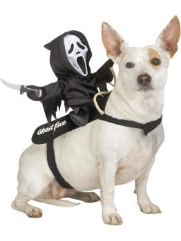 Disfraz de jinete GhostFace para mascota