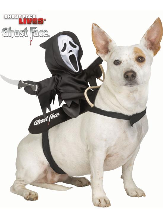 Disfraz de jinete GhostFace para mascota
