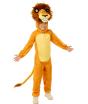 Disfraz de Madagascar Alex el León para niño