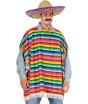 Disfraz de Mexicano para Hombre con Poncho Multicolor y Sombrero