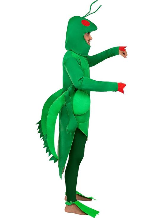 Disfraz de saltamontes para  Hombre adulto