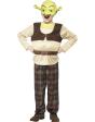 Disfraz de Shrek Lujo para niño
