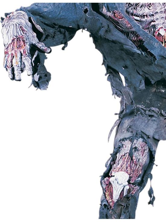 Disfraz de zombie hambriento 3D para hombre