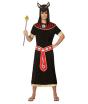 Disfraz Egipcio Anubis talla adulto