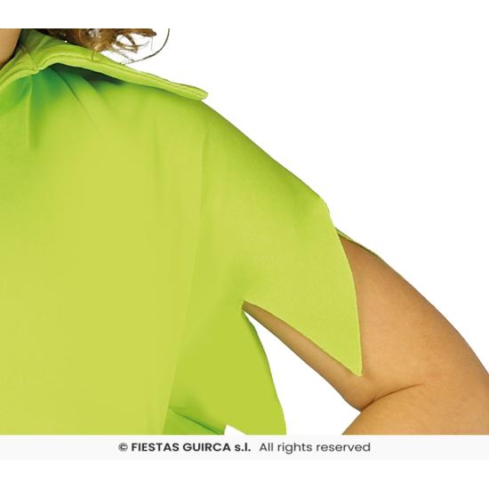 Disfraz infantil Primo de Peter Pan . Disfraz infantil Primo de Peter Pan .