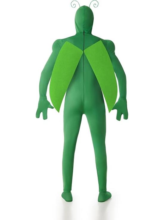 Disfraz Insecto Verde Hombre