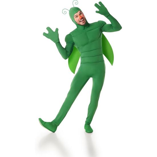 Disfraz Insecto Verde Hombre