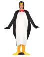 Disfraz Pingüino Friolero Adultos
