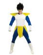 Disfraz Dragon Ball primo Vegeta