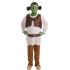 Disfraz Shrek Ogro Verde infantil