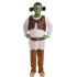 Disfraz Shrek Ogro Verde infantil