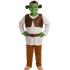 Disfraz Shrek Ogro Verde infantil