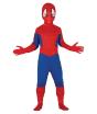 Disfraz Spider Superhéroe para Niño