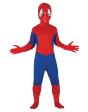 Disfraz Spider Superhéroe para Niño