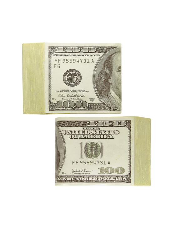Dolares Falsos disfraz