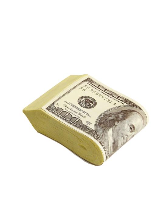 Dolares Falsos disfraz