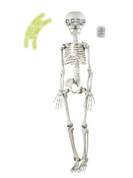 Esqueleto Animado Colgante 90 cms