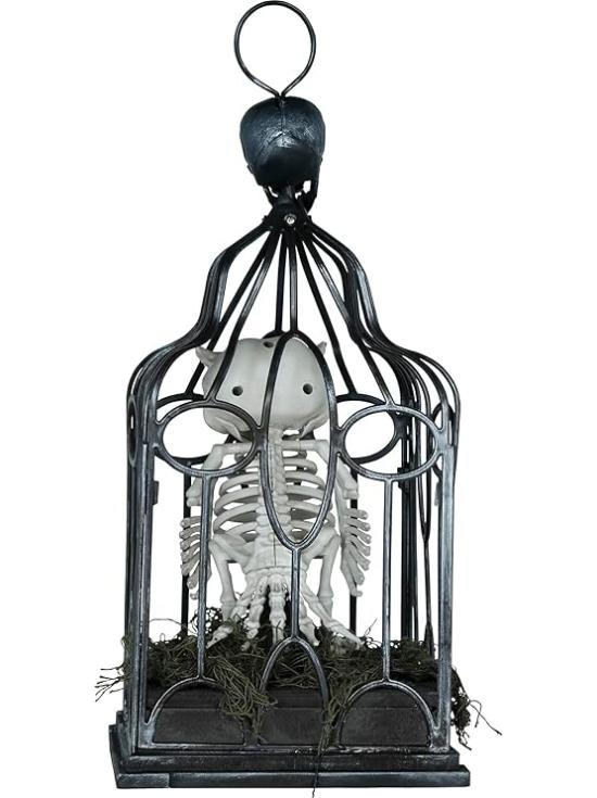 Esqueleto de Búho en Jaula con Luz, Sonido y Movimiento (33 cm)