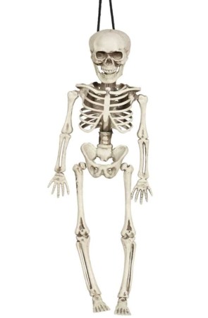 Esqueleto de 40 cms .