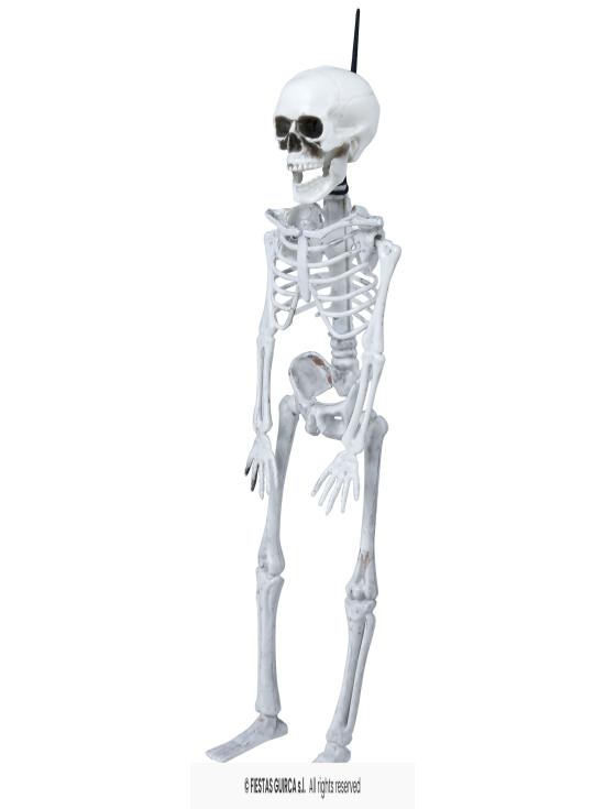 Esqueleto de 40 cms .