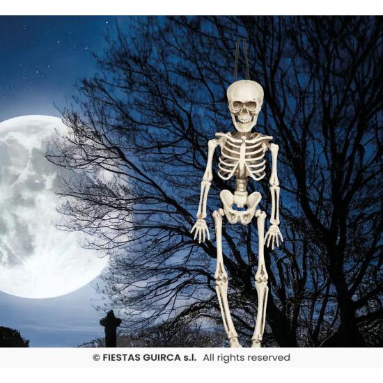 Esqueleto de 40 cms .