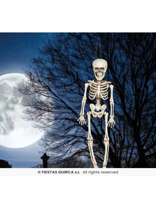 Esqueleto de 40 cms .