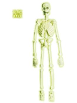 Esqueleto de laboratorio Fluorescente ·3D 92 cm