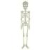 Esqueleto Fluorescente 75 cms