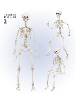Esqueleto Posable 90 cm