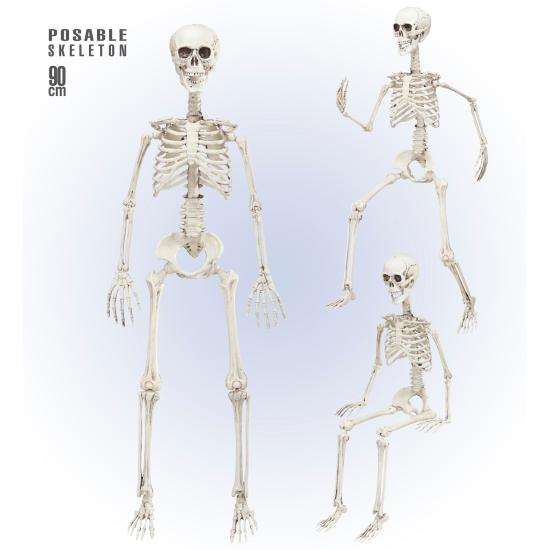 Esqueleto Posable 90 cm Esqueleto Posable 90 cm