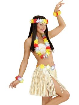 Falda larga hawaiana con top y accesorios.