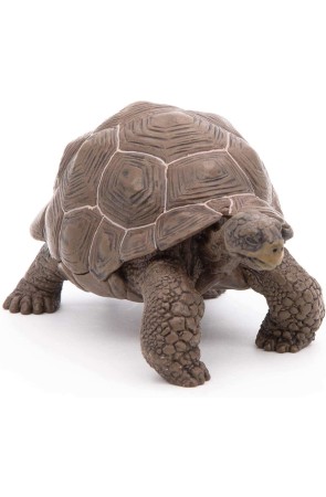 Figura Animal Exótico Tortuga Galápagos