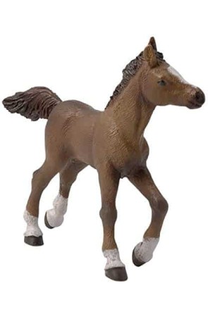Figura Caballo Potro Anglo-árabe
