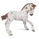 Figura Caballo Yegua Appaloosa Potro