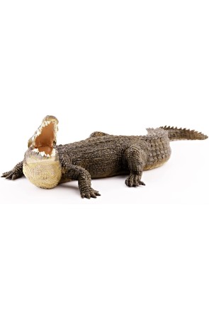 Figura Cocodrilo del Nilo - Papo