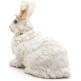 Figura Conejo de Angora - Papo
